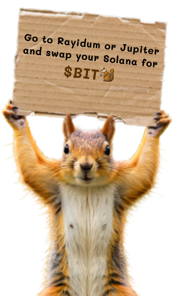 $BIT🐿️